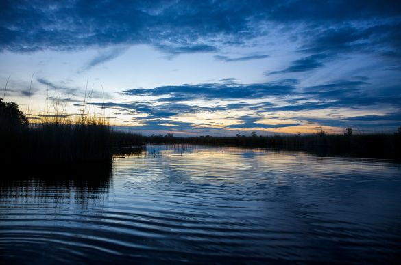 Okavango Delta, Botswana